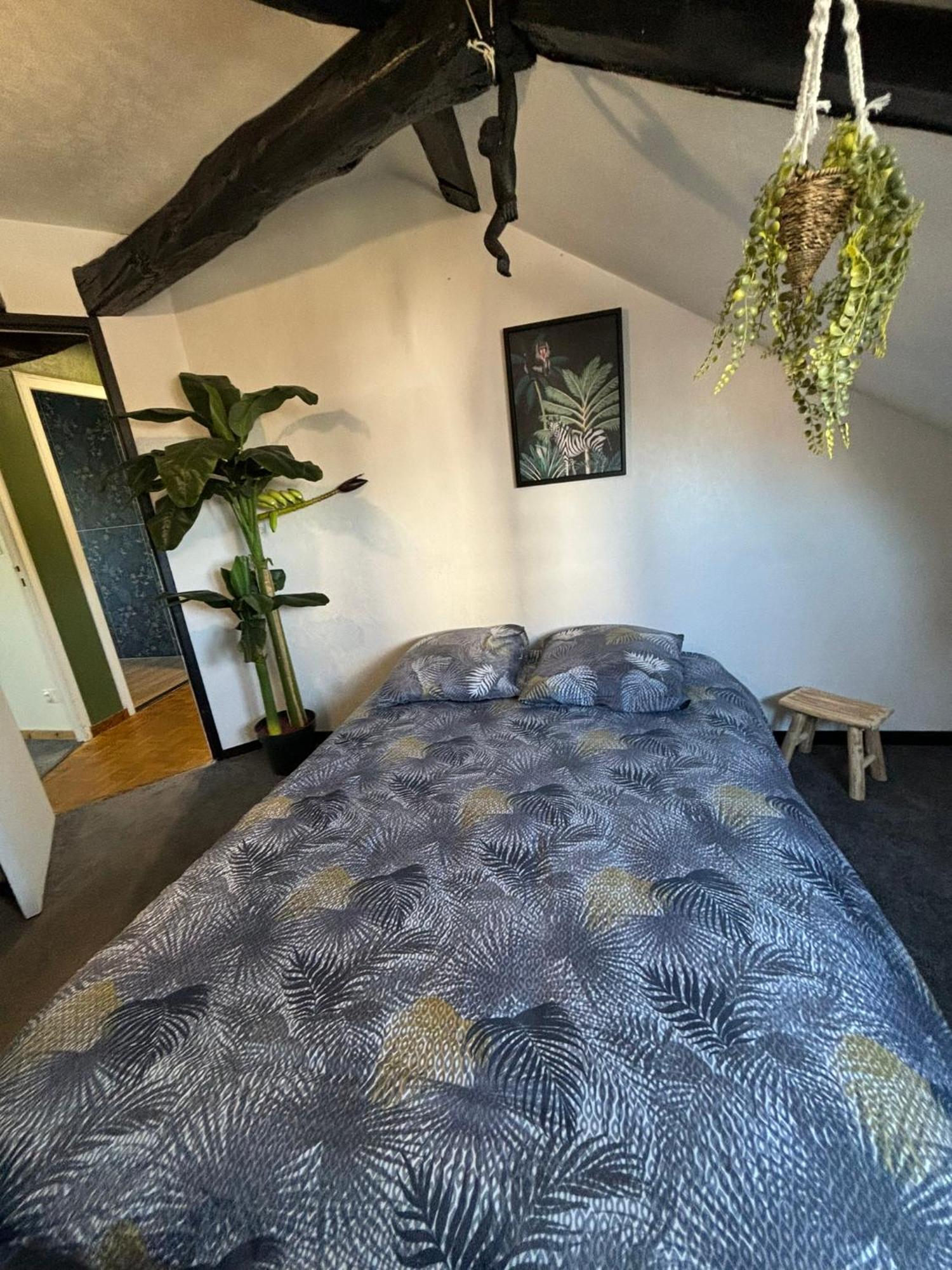 Jungle Cosy Apartment Лувие Екстериор снимка