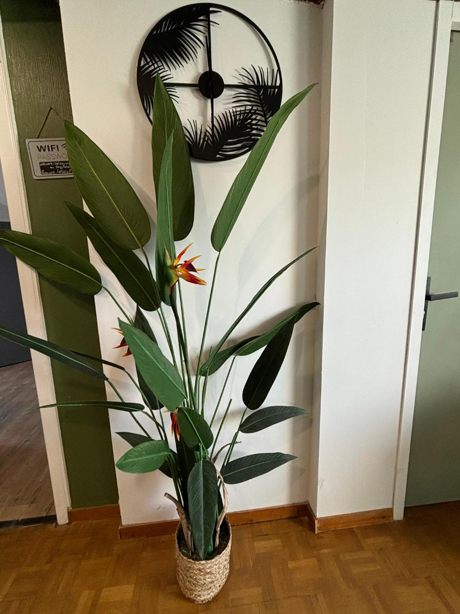 Jungle Cosy Apartment Лувие Екстериор снимка